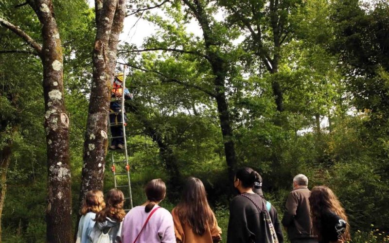 Escolares de Ponteareas implícanse na conservación dos morcegos na contorna do río Tea