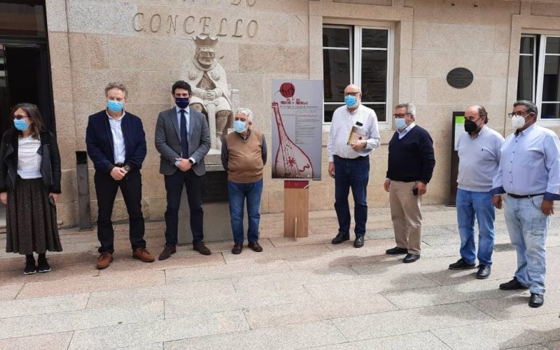 Difusión da figura do trovador Martín de Pedrozelos en Sarria