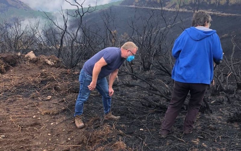 Avaliadas medidas de recuperación das zonas afectadas polos incendios en Ribas de Sil