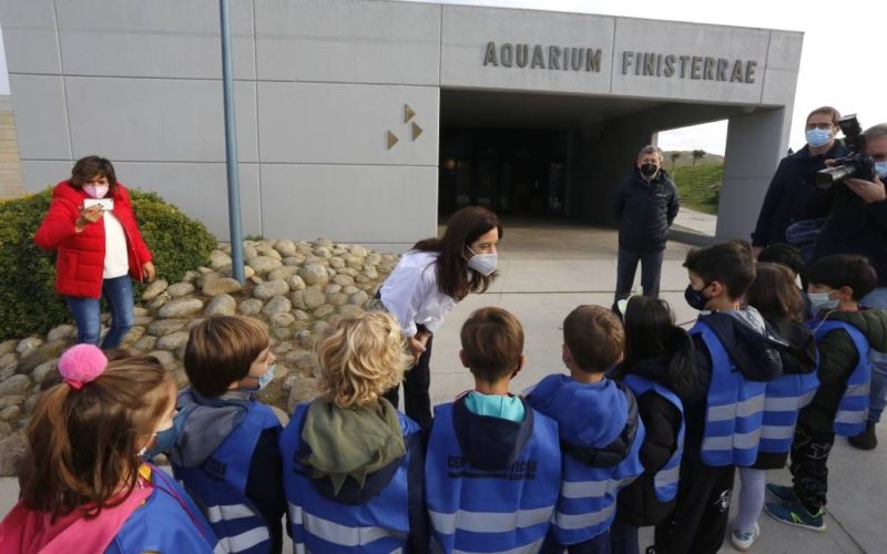 Visitante 6 millóns no Aquarium Finisterrae da Coruña