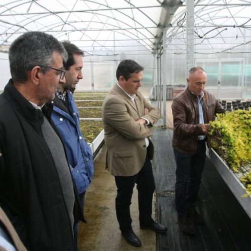 Mención especial por innovación agraria a un viveiro de Sober