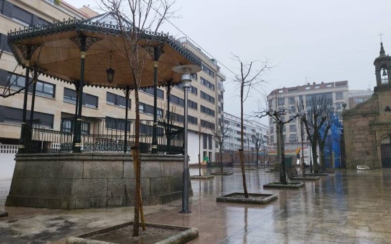 O Porriño planta 100 novas árbores no seu centro urbano