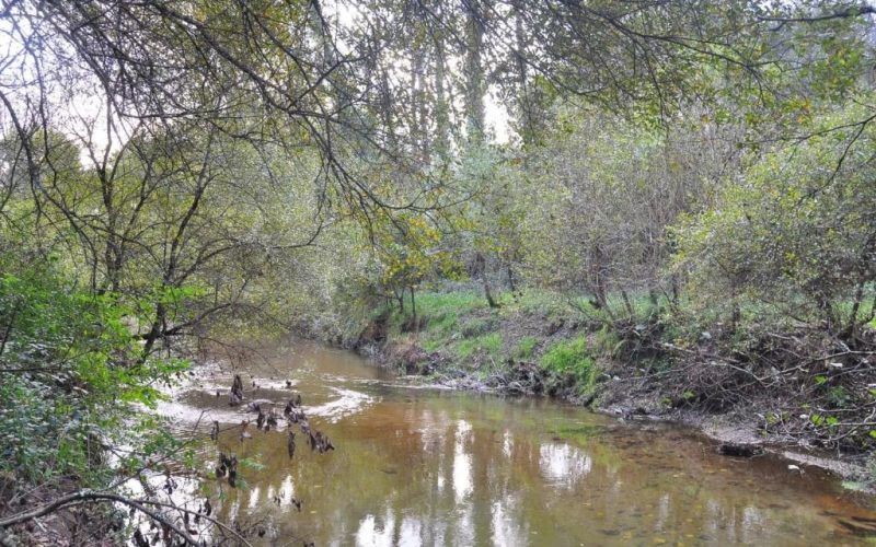 BNG O Porriño esixe a declaración do río Louro como Espazo Natural de Interese Local (ENIL)