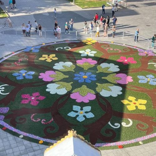 O primeiro Corpus do BIC decora Ponteareas con 29 alfombras de flores