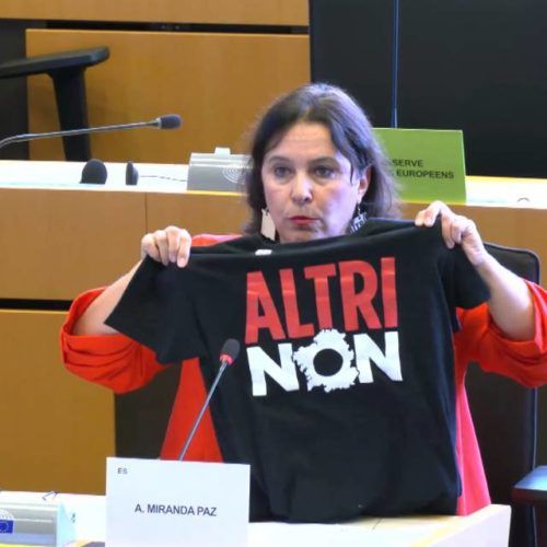 O BNG preme en Bruxelas contra a instalación de Altri