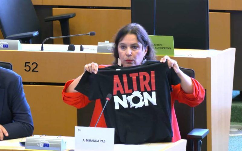 O BNG preme en Bruxelas contra a instalación de Altri