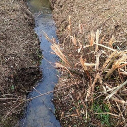 BNG Ponteareas denuncia agresión ambiental no Regato da Venda