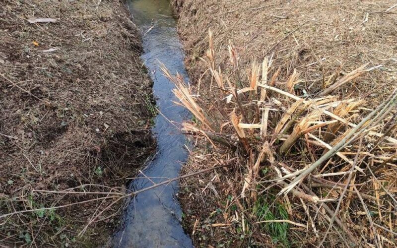 BNG Ponteareas denuncia agresión ambiental no Regato da Venda