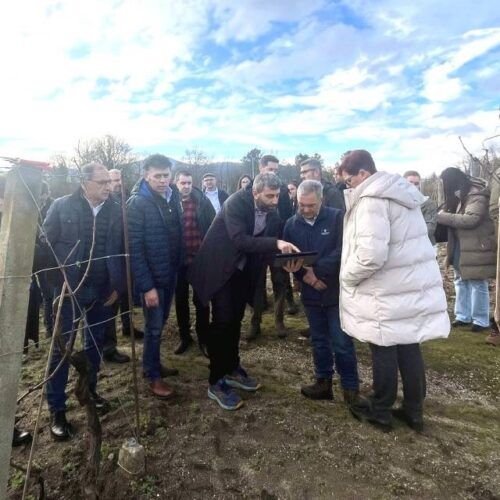 Dixitalización de dezasete mil parcelas de viñedos no Ribeiro